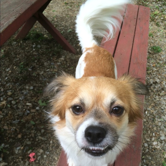 Meet your Posher, Melissa - Picture 5 of 10